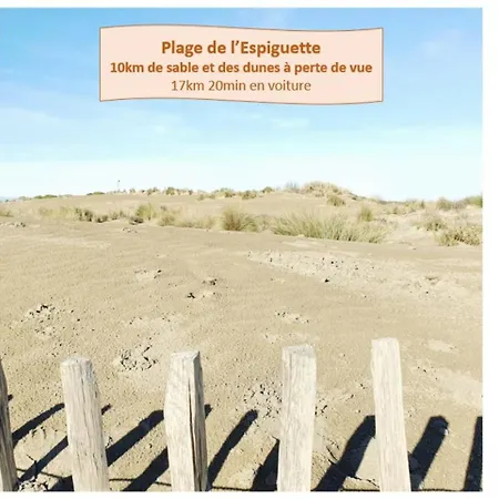 Le Petit Saint Clair Acces Direct Plages Pour 2 Climatisation Wifi - Rossiconciergerie - Linge Inclus 公寓 *