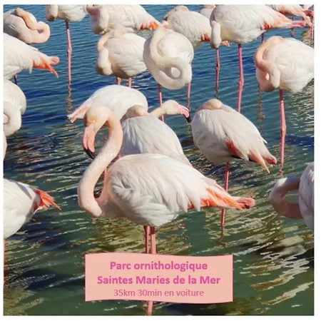 Apartment Le Petit Saint Clair Acces Direct Plages Pour 2 Climatisation Wifi - Rossiconciergerie - Linge Inclus La Grande-Motte