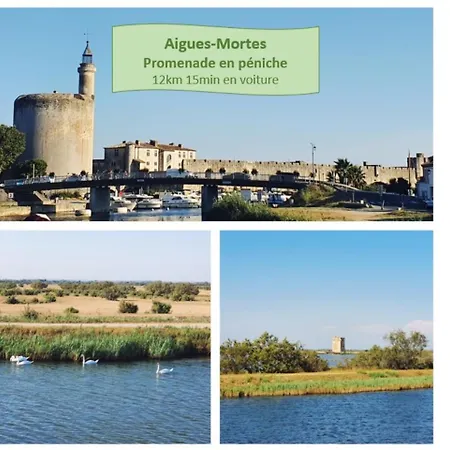 Le Petit Saint Clair Acces Direct Plages Pour 2 Climatisation Wifi - Rossiconciergerie - Linge Inclus