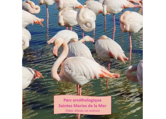 Διαμέρισμα Le Petit Saint Clair Acces Direct Plages Pour 2 Climatisation Wifi - Rossiconciergerie - Linge Inclus Λα Γκραντ-Μοτ