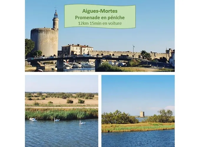 Le Petit Saint Clair Acces Direct Plages Pour 2 Climatisation Wifi - Rossiconciergerie - Linge Inclus