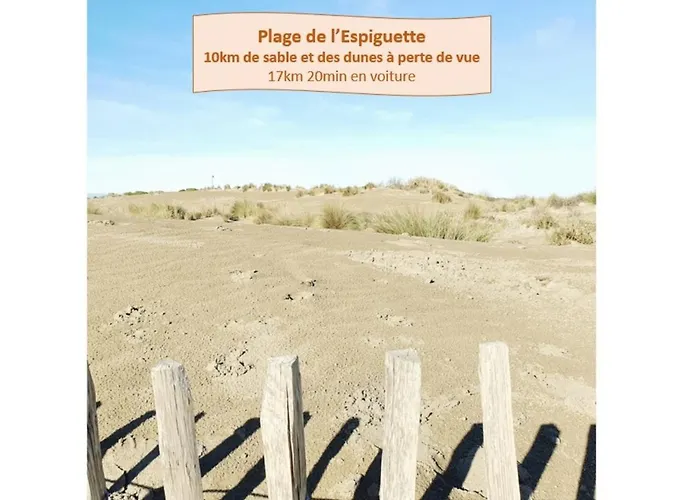 Le Petit Saint Clair Acces Direct Plages Pour 2 Climatisation Wifi - Rossiconciergerie - Linge Inclus Διαμέρισμα *